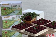梦见蜗牛高速赋能产业升级：一条“杨梅路”的致富密码